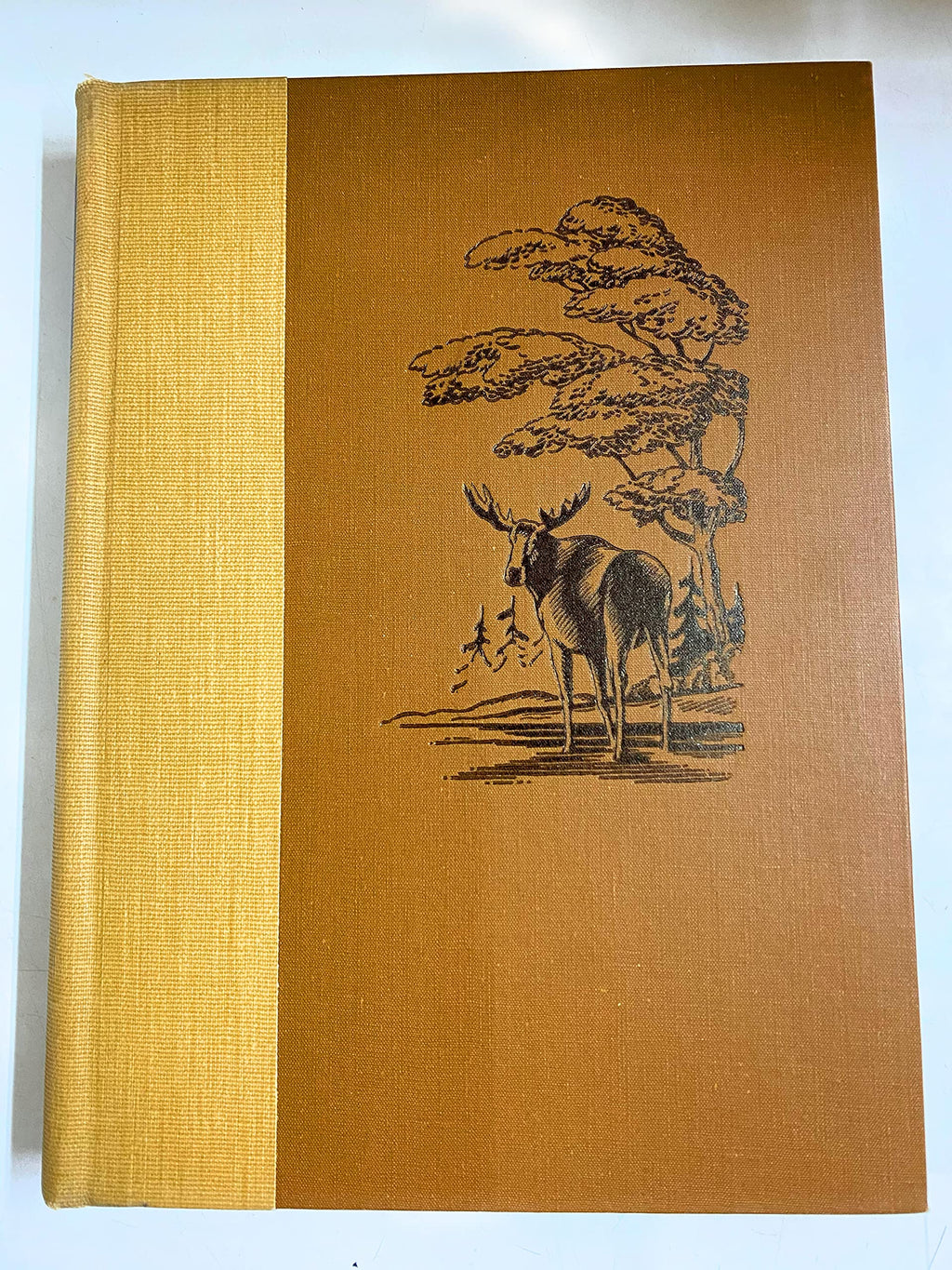 Animals of the World: Mammals of America, Mammals of Other Lands, 1947, 354 pages with illustrations.